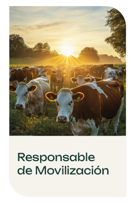 Responsable de Movilizacion